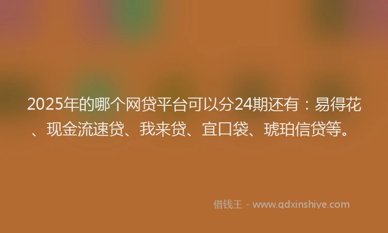 2025年的哪个网贷平台可以分24期还有：易得花、现金流速贷、我来贷、宜口袋、琥珀信贷等。
