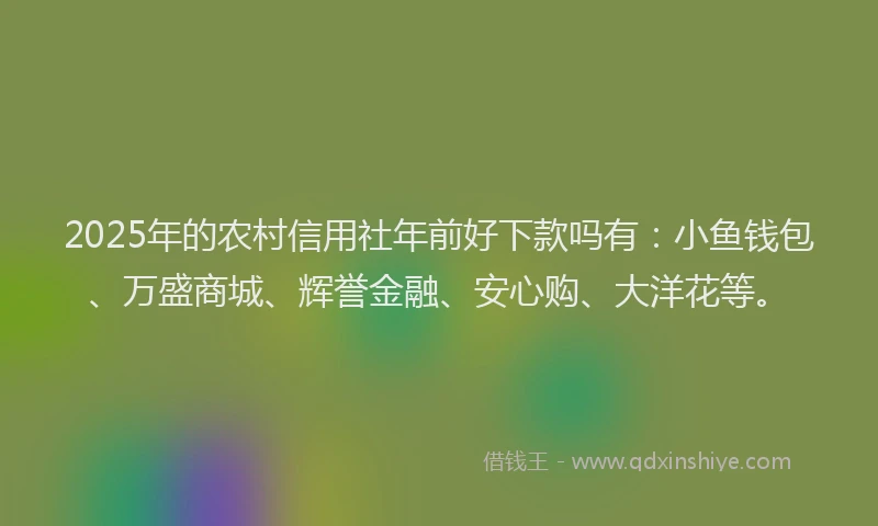 2025年的农村信用社年前好下款吗有：小鱼钱包、万盛商城、辉誉金融、安心购、大洋花等。