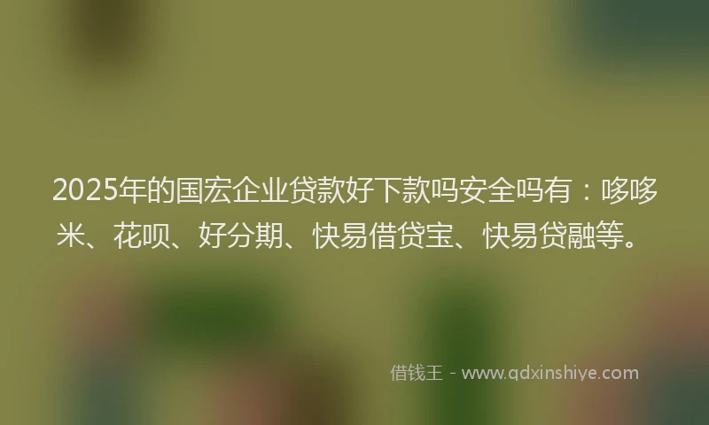 2025年的国宏企业贷款好下款吗安全吗有：哆哆米、花呗、好分期、快易借贷宝、快易贷融等。