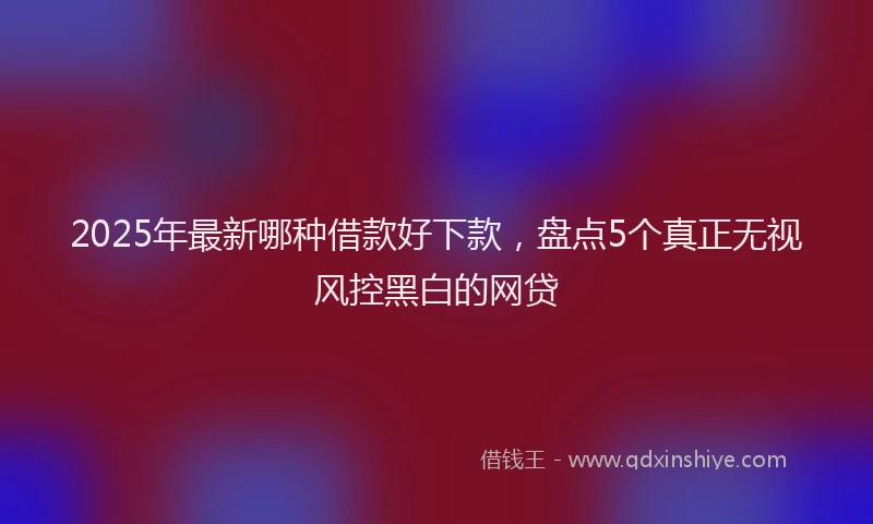 2025年最新哪种借款好下款，盘点5个真正无视风控黑白的网贷