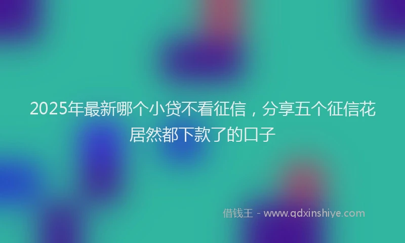 2025年最新哪个小贷不看征信，分享五个征信花居然都下款了的口子