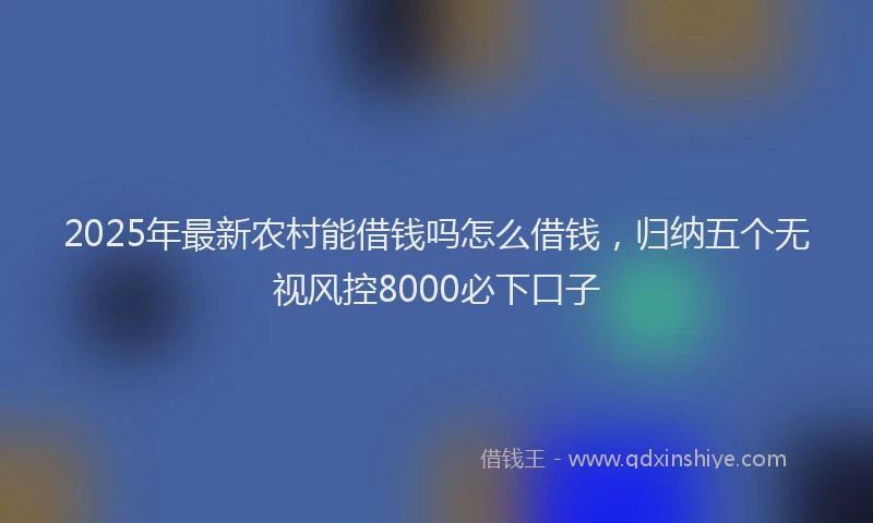 2025年最新农村能借钱吗怎么借钱，归纳五个无视风控8000必下口子