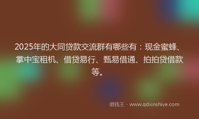 2025年的大同贷款交流群有哪些有：现金蜜蜂、掌中宝租机、借贷易行、甄易借通、拍拍贷借款等。