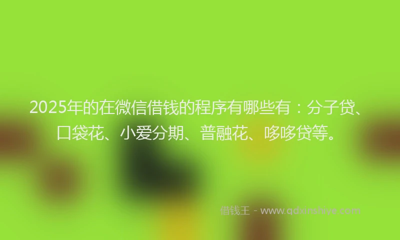 2025年的在微信借钱的程序有哪些有：分子贷、口袋花、小爱分期、普融花、哆哆贷等。