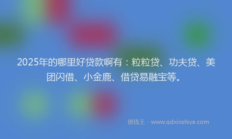 2025年的哪里好贷款啊有：粒粒贷、功夫贷、美团闪借、小金鹿、借贷易融宝等。