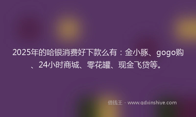2025年的哈银消费好下款么有：金小豚、gogo购、24小时商城、零花罐、现金飞贷等。