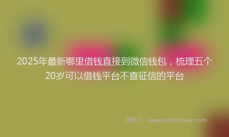 2025年最新哪里借钱直接到微信钱包，梳理五个20岁可以借钱平台不查征信的平台