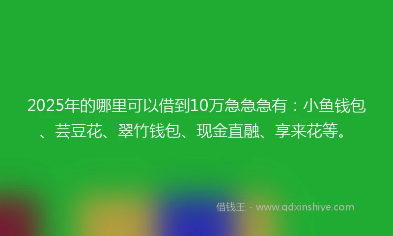 2025年的哪里可以借到10万急急急有：小鱼钱包、芸豆花、翠竹钱包、现金直融、享来花等。