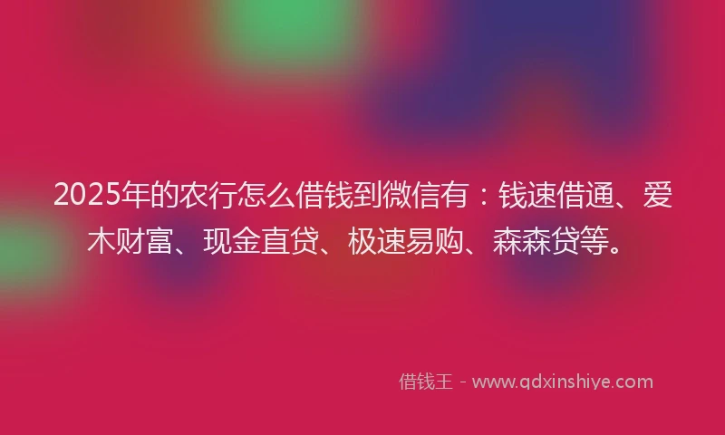 2025年的农行怎么借钱到微信有：钱速借通、爱木财富、现金直贷、极速易购、森森贷等。