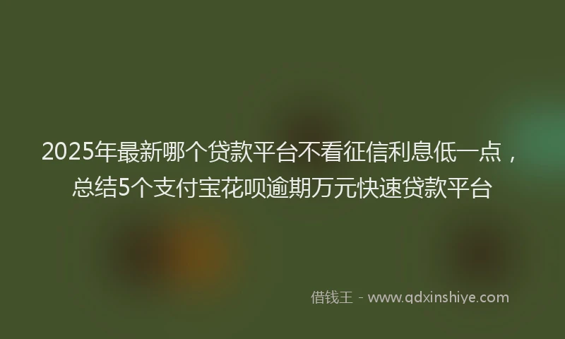 2025年最新哪个贷款平台不看征信利息低一点，总结5个支付宝花呗逾期万元快速贷款平台