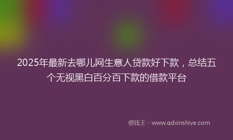 2025年最新去哪儿网生意人贷款好下款，总结五个无视黑白百分百下款的借款平台