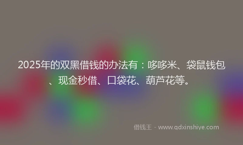 2025年的双黑借钱的办法有：哆哆米、袋鼠钱包、现金秒借、口袋花、葫芦花等。