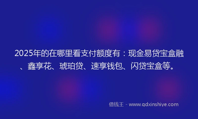 2025年的在哪里看支付额度有：现金易贷宝盒融、鑫享花、琥珀贷、速享钱包、闪贷宝盒等。