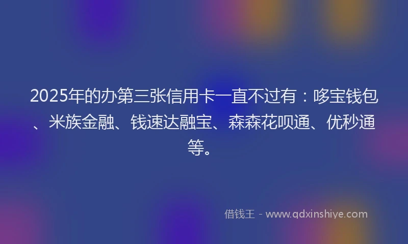 2025年的办第三张信用卡一直不过有：哆宝钱包、米族金融、钱速达融宝、森森花呗通、优秒通等。