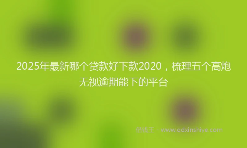 2025年最新哪个贷款好下款2020，梳理五个高炮无视逾期能下的平台