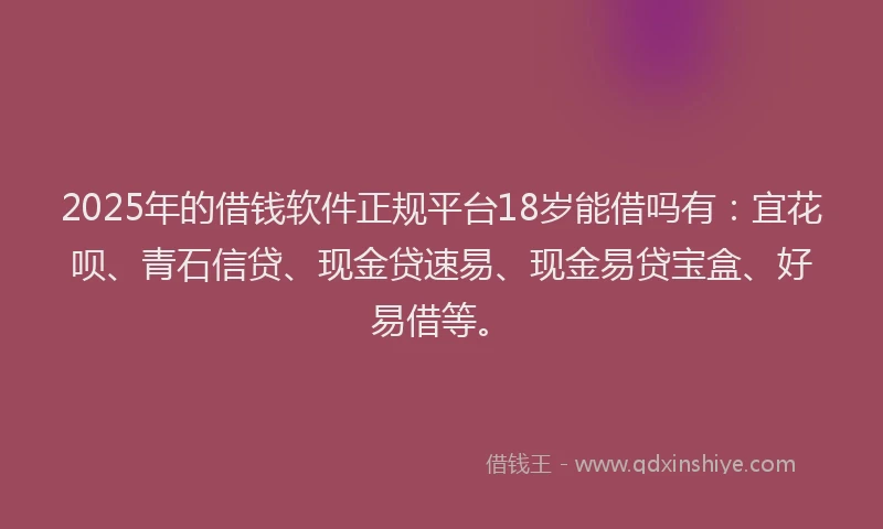 2025年的借钱软件正规平台18岁能借吗有：宜花呗、青石信贷、现金贷速易、现金易贷宝盒、好易借等。