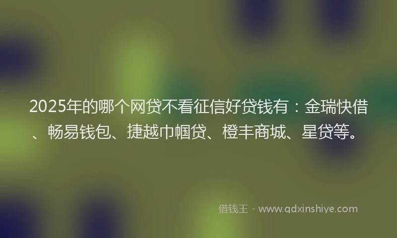 2025年的哪个网贷不看征信好贷钱有：金瑞快借、畅易钱包、捷越巾帼贷、橙丰商城、星贷等。