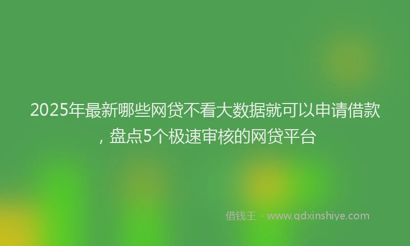 2025年最新哪些网贷不看大数据就可以申请借款，盘点5个极速审核的网贷平台