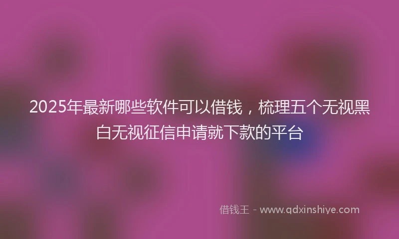 2025年最新哪些软件可以借钱，梳理五个无视黑白无视征信申请就下款的平台