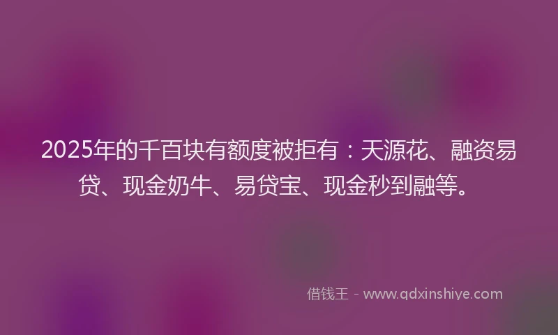 2025年的千百块有额度被拒有：天源花、融资易贷、现金奶牛、易贷宝、现金秒到融等。