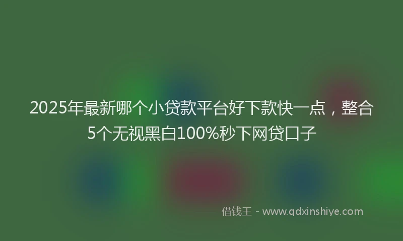 2025年最新哪个小贷款平台好下款快一点，整合5个无视黑白100%秒下网贷口子