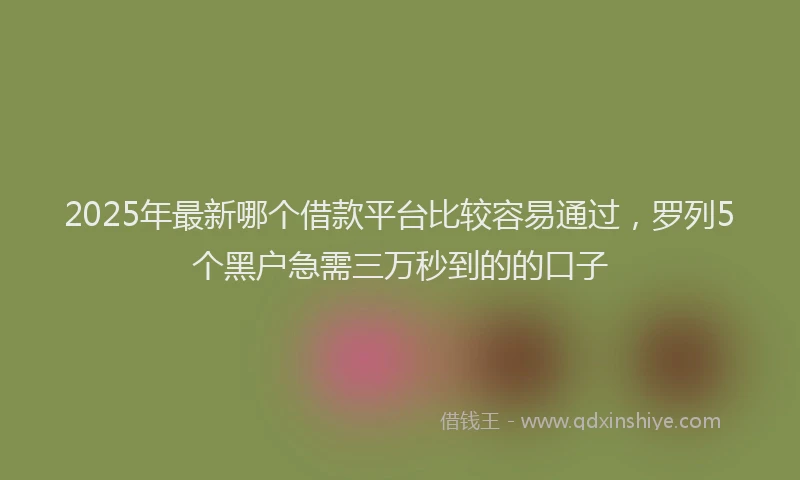 2025年最新哪个借款平台比较容易通过，罗列5个黑户急需三万秒到的的口子