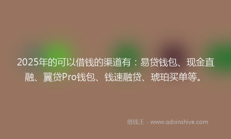 2025年的可以借钱的渠道有：易贷钱包、现金直融、翼贷Pro钱包、钱速融贷、琥珀买单等。
