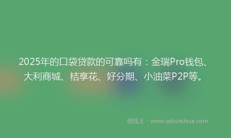 2025年的口袋贷款的可靠吗有：金瑞Pro钱包、大利商城、桔享花、好分期、小油菜P2P等。