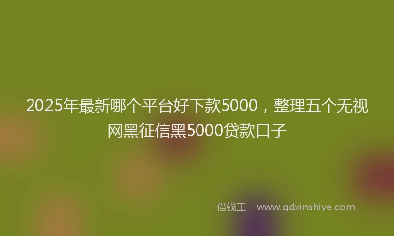 2025年最新哪个平台好下款5000，整理五个无视网黑征信黑5000贷款口子
