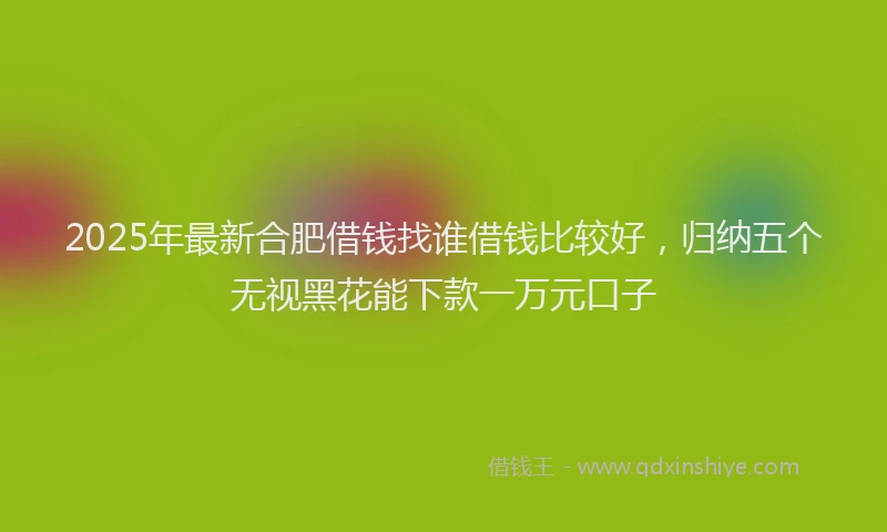 2025年最新合肥借钱找谁借钱比较好，归纳五个无视黑花能下款一万元口子