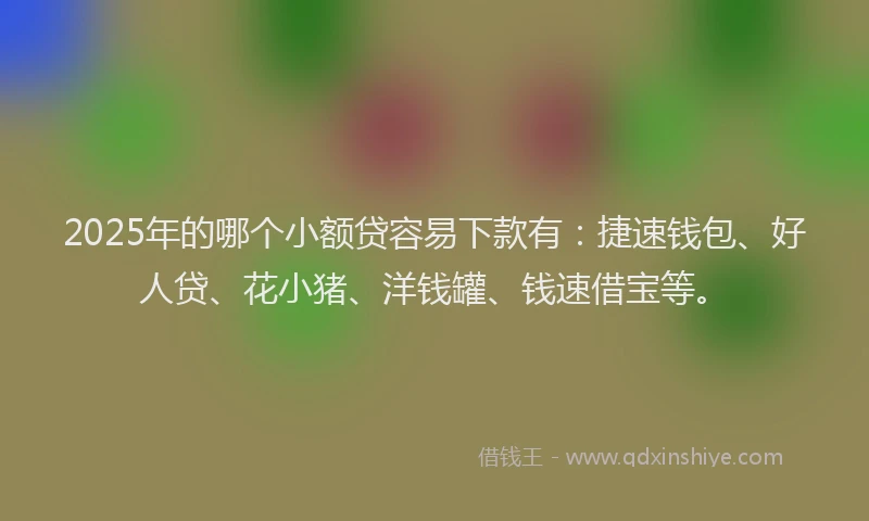 2025年的哪个小额贷容易下款有：捷速钱包、好人贷、花小猪、洋钱罐、钱速借宝等。