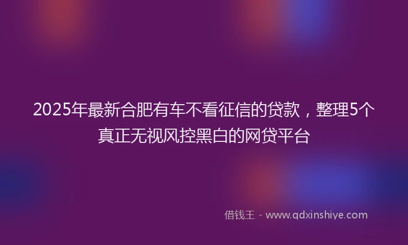2025年最新合肥有车不看征信的贷款，整理5个真正无视风控黑白的网贷平台