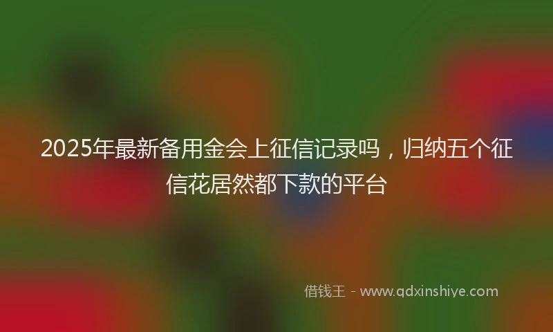 2025年最新备用金会上征信记录吗，归纳五个征信花居然都下款的平台