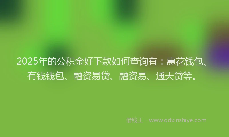 2025年的公积金好下款如何查询有：惠花钱包、有钱钱包、融资易贷、融资易、通天贷等。