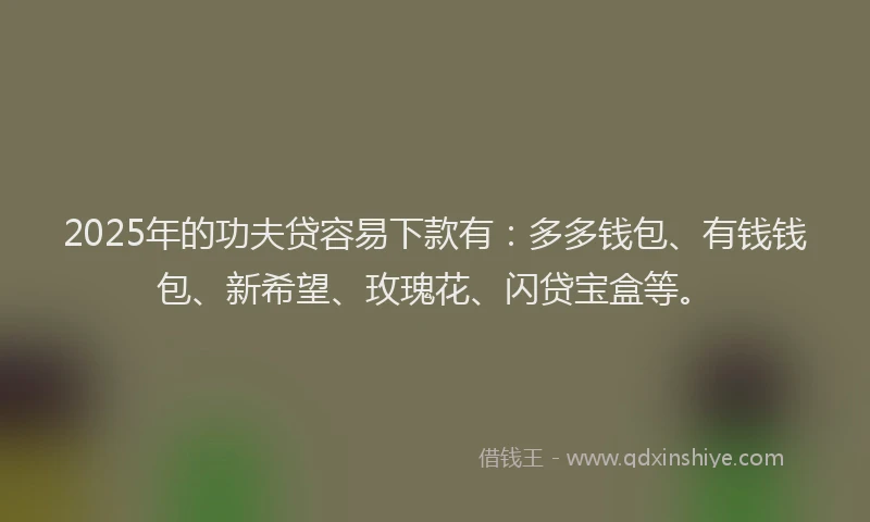 2025年的功夫贷容易下款有：多多钱包、有钱钱包、新希望、玫瑰花、闪贷宝盒等。