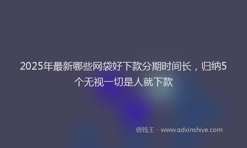 2025年最新哪些网袋好下款分期时间长，归纳5个无视一切是人就下款