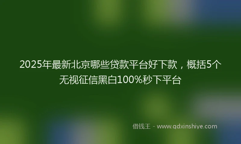2025年最新北京哪些贷款平台好下款，概括5个无视征信黑白100%秒下平台