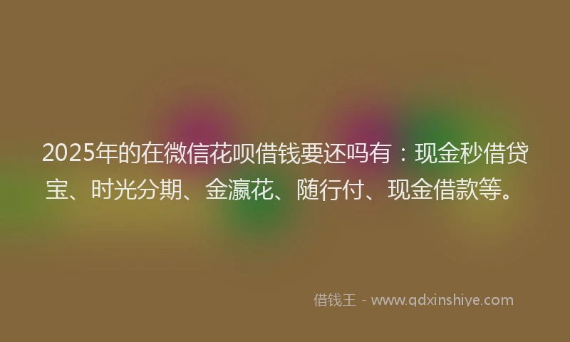 2025年的在微信花呗借钱要还吗有：现金秒借贷宝、时光分期、金瀛花、随行付、现金借款等。
