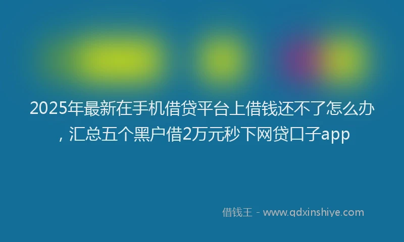 2025年最新在手机借贷平台上借钱还不了怎么办，汇总五个黑户借2万元秒下网贷口子app