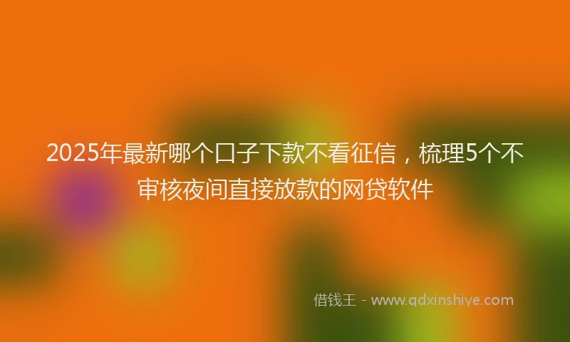 2025年最新哪个口子下款不看征信，梳理5个不审核夜间直接放款的网贷软件