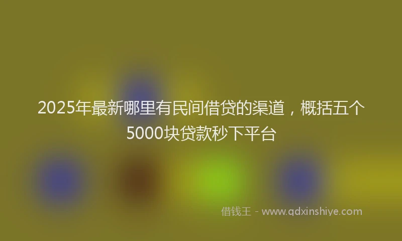 2025年最新哪里有民间借贷的渠道，概括五个5000块贷款秒下平台