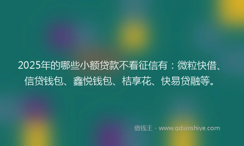 2025年的哪些小额贷款不看征信有：微粒快借、信贷钱包、鑫悦钱包、桔享花、快易贷融等。