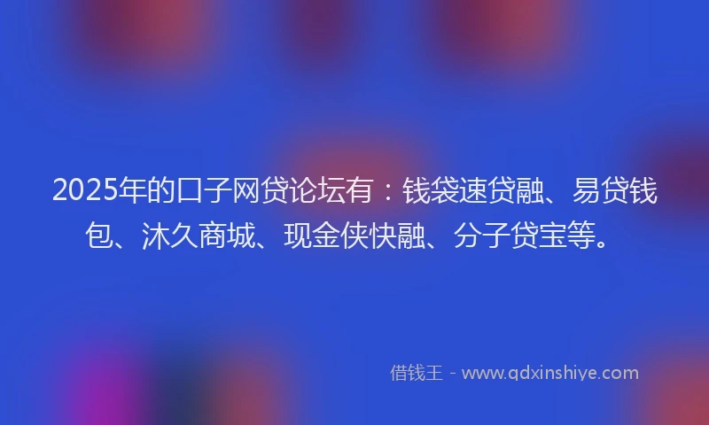 2025年的口子网贷论坛有：钱袋速贷融、易贷钱包、沐久商城、现金侠快融、分子贷宝等。