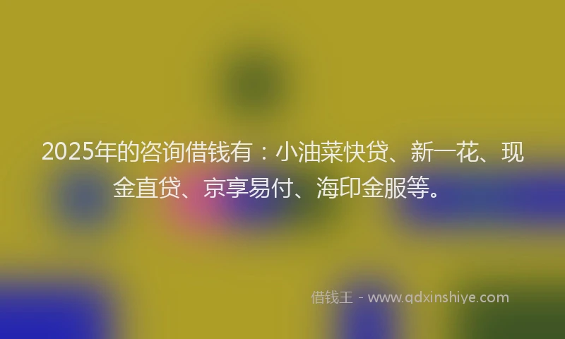 2025年的咨询借钱有：小油菜快贷、新一花、现金直贷、京享易付、海印金服等。