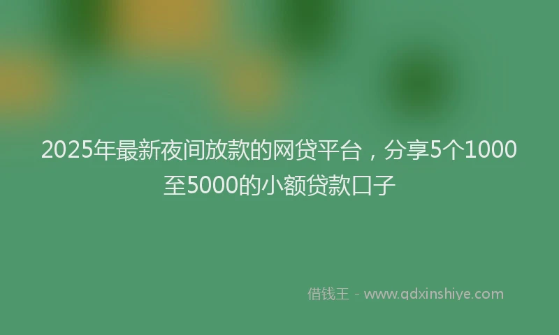 2025年最新夜间放款的网贷平台，分享5个1000至5000的小额贷款口子
