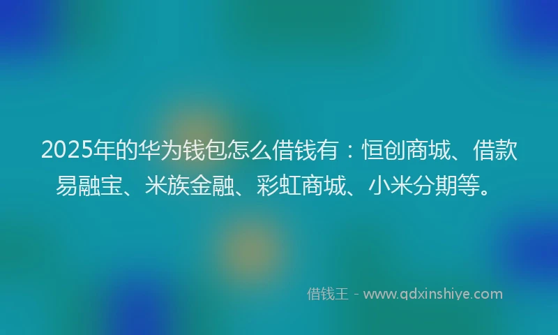 2025年的华为钱包怎么借钱有：恒创商城、借款易融宝、米族金融、彩虹商城、小米分期等。