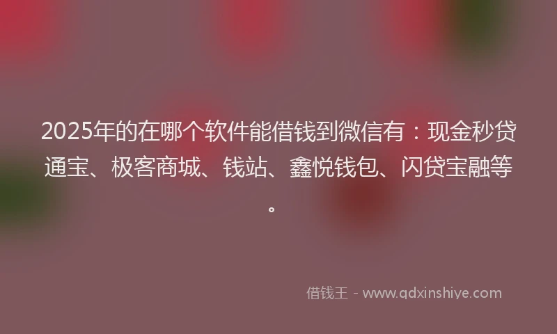 2025年的在哪个软件能借钱到微信有：现金秒贷通宝、极客商城、钱站、鑫悦钱包、闪贷宝融等。