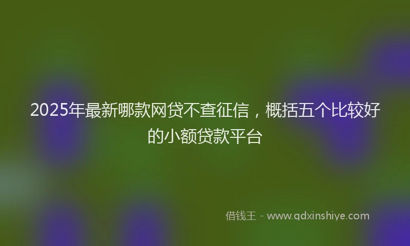 2025年最新哪款网贷不查征信，概括五个比较好的小额贷款平台