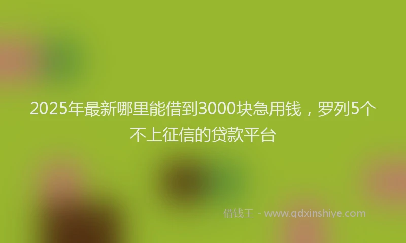 2025年最新哪里能借到3000块急用钱，罗列5个不上征信的贷款平台