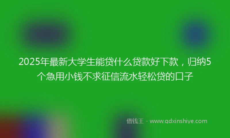 2025年最新大学生能贷什么贷款好下款，归纳5个急用小钱不求征信流水轻松贷的口子